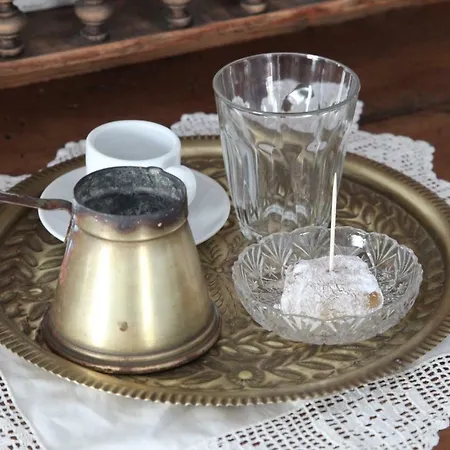 The Collector's فيلة *