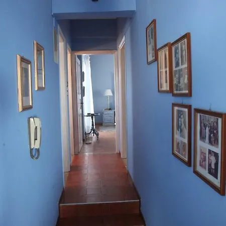 The Collector's Villa *