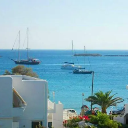 The Collector's Finikas (Syros)